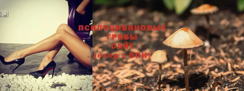 Псилоцибиновые грибы MAGIC MUSHROOMS  Бирюч 